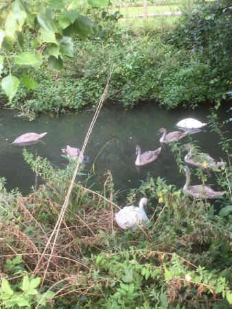 Ninesprings Country Park