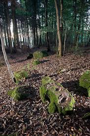 Rempstone Stone Circle