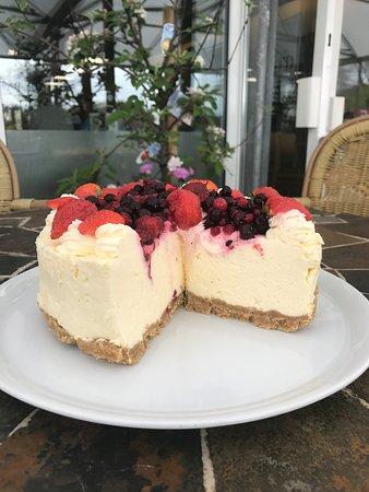 The Shed Cafe