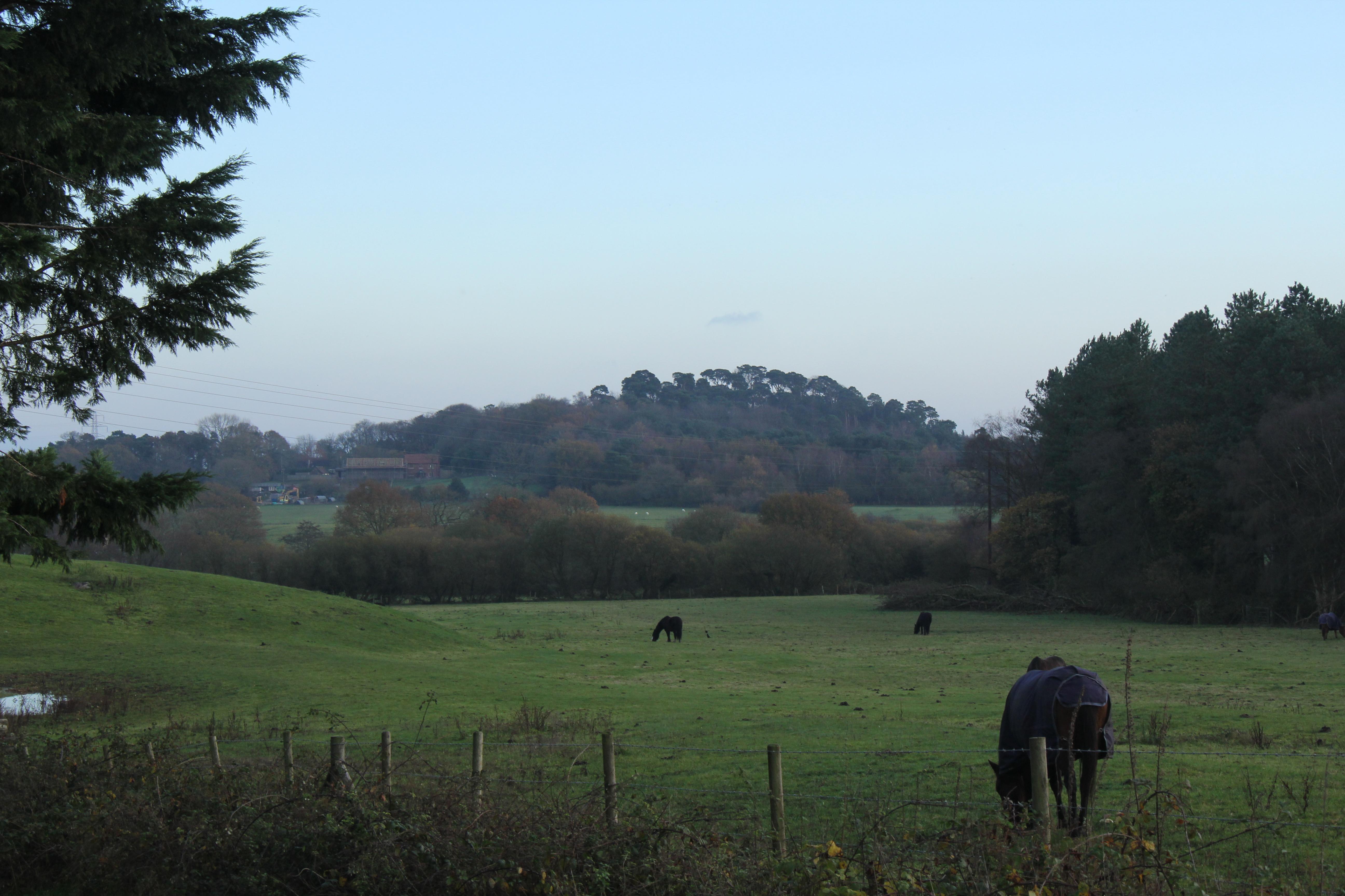 Beacon Hill