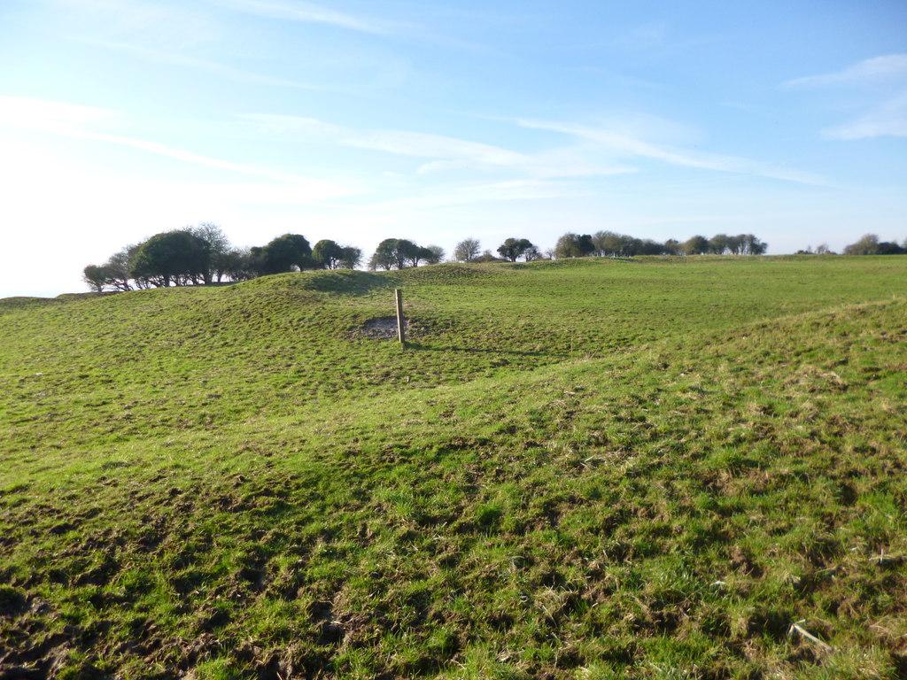 Buzbury Rings