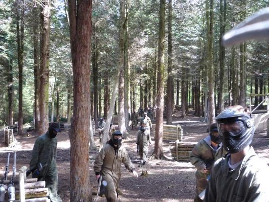 Skirmish Dorset