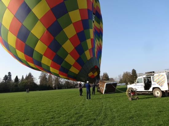 Aerosaurus Balloons