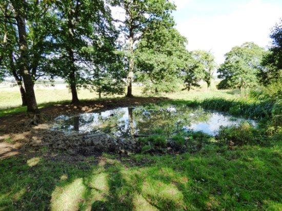 Badbury Rings