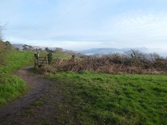 Ware Cliffs