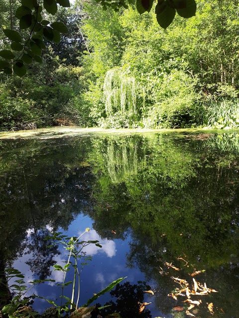 Wayford Woods