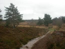 Parley Common